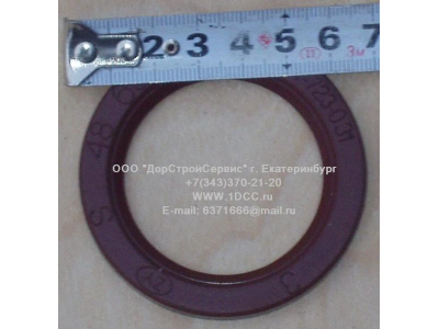 Сальник 48х65х6,2 H HOWO (ХОВО)  фото 1 Челябинск