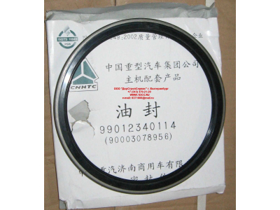 Сальник 190х220х15 задней ступицы наружный H/SH HOWO (ХОВО) WG9112340114 фото 1 Челябинск