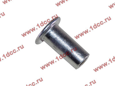 Заклепка алюминиевая 10х24 H2/H3 HOWO (ХОВО) 189000340068 AL фото 1 Челябинск