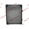 Радиатор WP10 SH4 SHAANXI / Shacman (ШАНКСИ / Шакман) DZ95259532213 фото 2 Челябинск