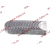 Вкладыши коренные стандарт +0.00 (14шт) LONGGONG CDM833 Lonking CDM (СДМ) 13034908/13034916 фото 2 Челябинск